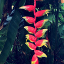 authenticallyaverage avatar