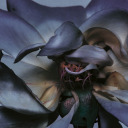 authenticdrip avatar