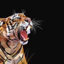 authenticislam avatar