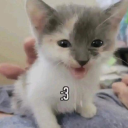 author-in-hell avatar