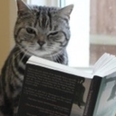 authorlife avatar
