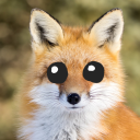 autismfox avatar