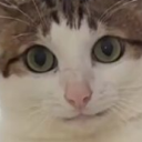 autismhottopic avatar