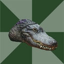 autistic-alligator avatar