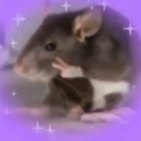 autistic-basement-rat avatar