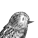 autistic-captain avatar