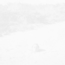 autistic-mvmnt avatar