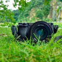 autistic-raikou avatar