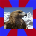 autisticeagle avatar