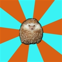 autistichedgehog avatar