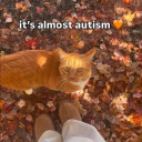 autisticmoss avatar