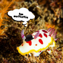 autisticseaslug avatar