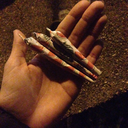 autofobiategoswiata avatar