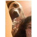 autokatastrofarw avatar