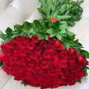 automaticpaintergiver avatar