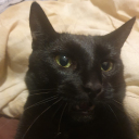 automaticrockartnightmare2851 avatar