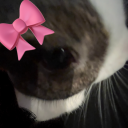 automaticruinsmoon avatar