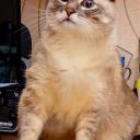 automaton-orion avatar