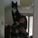 autonomicreaction avatar