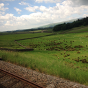 autumn-anno-domini avatar