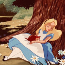 autumn-butterfly avatar