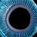 autumn-is-coming avatar