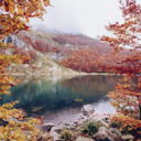 autumn-is-my-kryptonite avatar