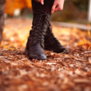 autumnal-addiction avatar