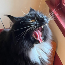 autumnal-windss avatar