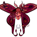 autumnalmoth avatar