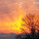 autumnalsuggestion avatar