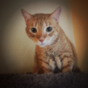 autumnalvibes avatar