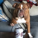 autumnangel9241 avatar