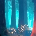 autumnchangeling avatar