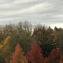 autumndreamswithpumpkinspice avatar