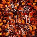 autumnfeels avatar