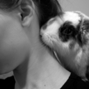 autumnfrantzdesign-blog avatar