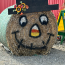 autumnintheshire avatar