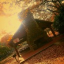 autumnisforever avatar