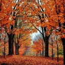 autumnismyloveblog avatar