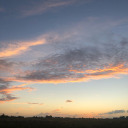 autumnleaves206 avatar