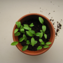 autumnleavesinsummerhair avatar