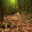 autumnlesterhowell avatar