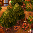 autumnmayor avatar