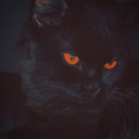 autumnnights10 avatar