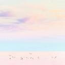 autumnrainfall avatar