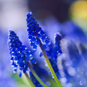 autumnrainsandinkstains avatar