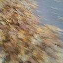 autumnraynne15 avatar