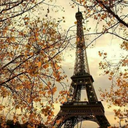 autumns-winter-dream avatar