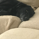 autumnsartistryshop avatar